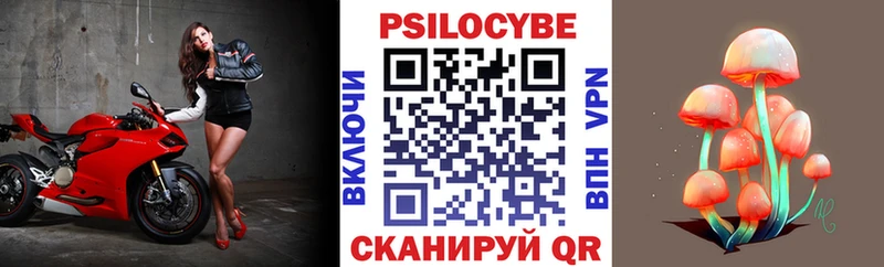 Купить  Волжск  Галлюциногенные грибы Psilocybine cubensis 